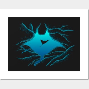 Manta Cave Posters and Art